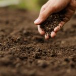 La nature du sol et son acidité son essentiel au choix des cultures que vous aller pouvoir faire.
